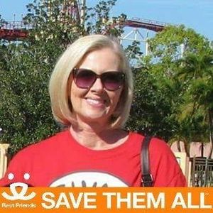 Meet your Posher, Jan